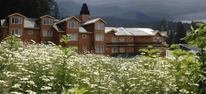 Cheap Kashmir Hotel, Srinagar Hotel Booking, Pahalgm Hotels, Luxury Hotels in Srinagar, Housebat Bookings, Gulmarg Hotel Booking